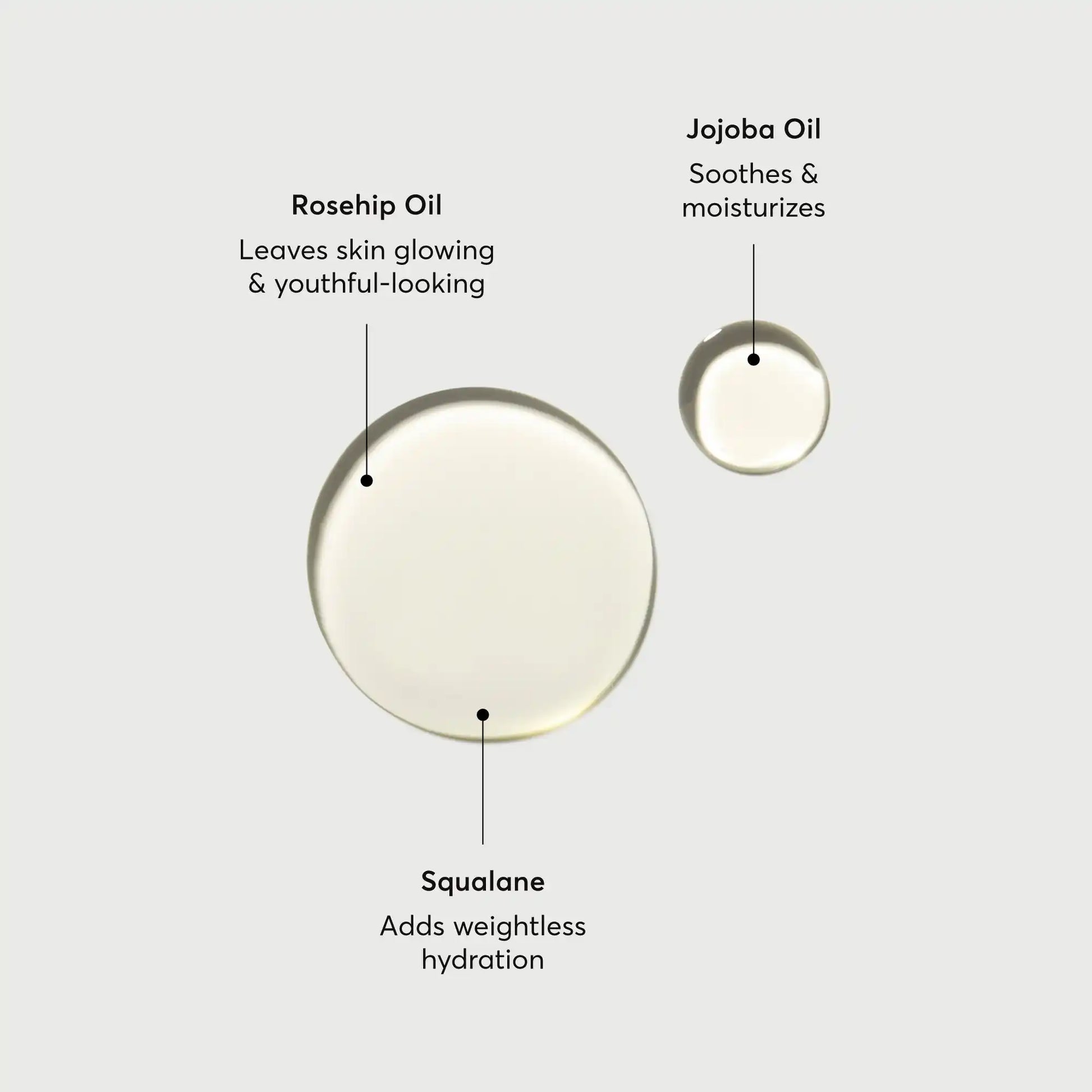 the-glow-getter-body-oil-e2 NATR-10115-Alt-Images-The-Glow-Getter-Body-Oil-01.webp