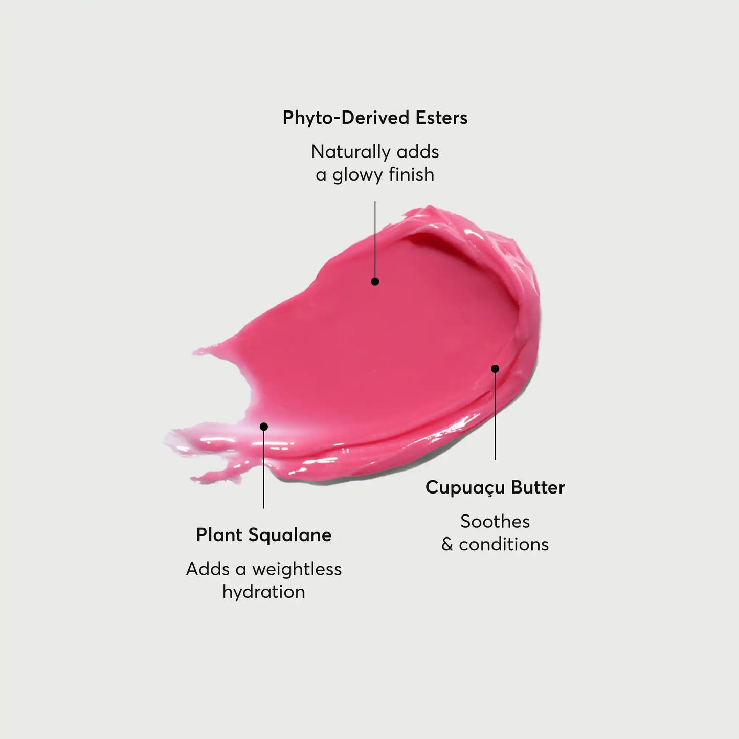 phyto-glow-lip-balm-camellia-h7 NATR-60075-Alt-Images-Phyto-Glow-Lip-Balm-Camellia-01.webp